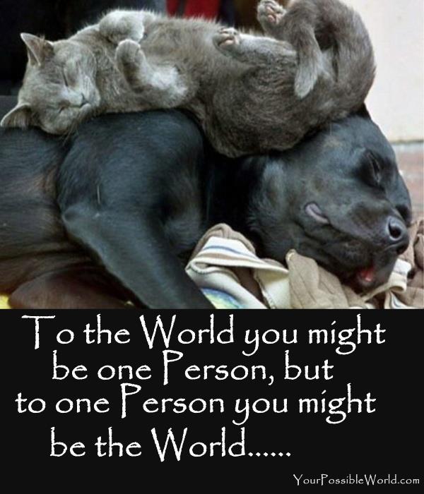 Inspirational and Encouraging Quotes