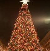Tree Lightings, Grand Illuminations, Christmas Lights and More!