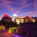 Lewis Ginter New Year’s Eve Frolic is  ‘Must See’