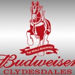 World Famous Clydesdales Visit the Flying Squirrels on May 31st