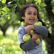kid w apples