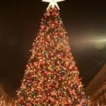 Tree Lightings, Grand Illuminations, Christmas Lights and More!