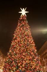 christmas tree lighting