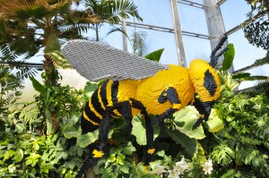 Bumblebee from Nature Connects -Sean Kenney