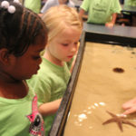 Maymont Summer Discovery Camps